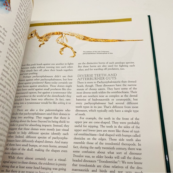NWT RARE!The Most Complete Encyclopedia Book for Dinosaur Lovers 426Pgs Hardback - Picture 6 of 11